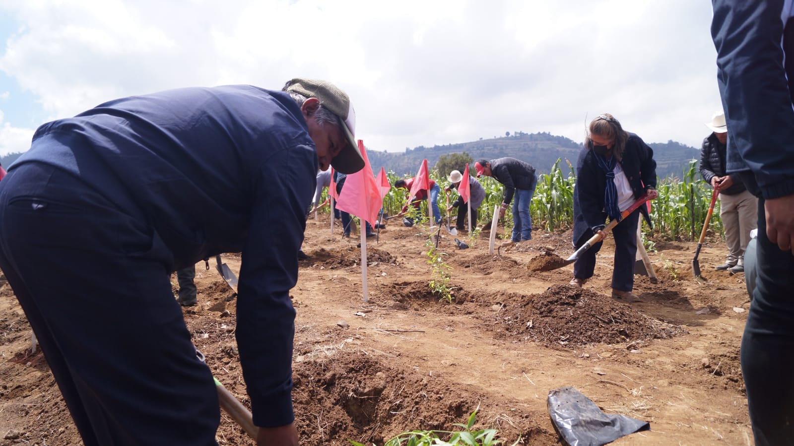 Sembrarán en Tlaxcala 3.9 millones de árboles en Tlaxcala
