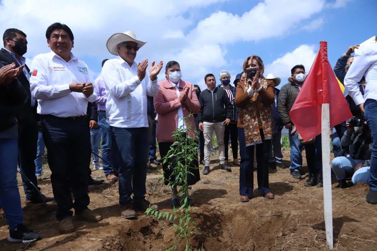 Por: Cortesía Encabezó Gobernadora Lorena Cuéllar 3ra Jornada Nacional De Siembra En Emiliano Zapata