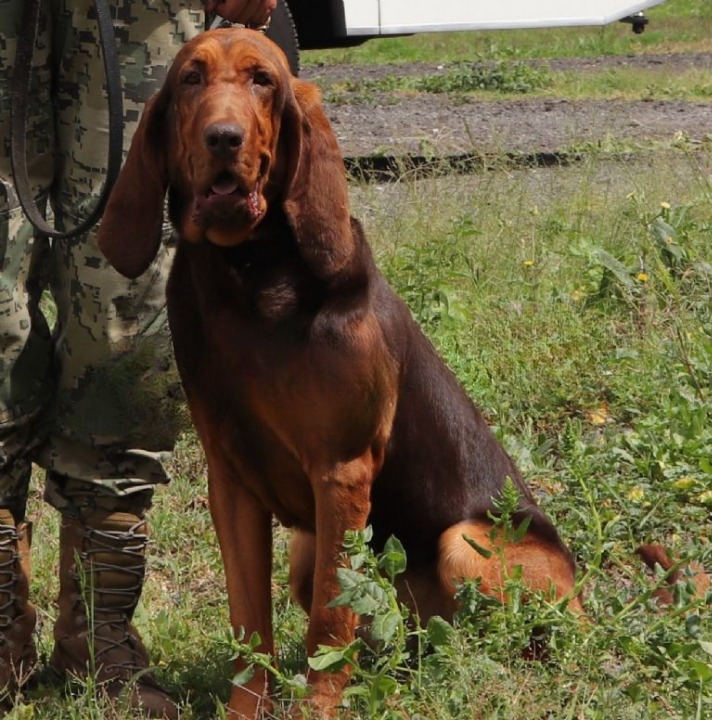 Ella es 'Max', la heroína de la Marina que encontró a Caro Quintero