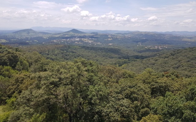 Por: Cortesía Aclara Barbosa que proceso para declarar área protegida a Flor del Bosque no ha concluido