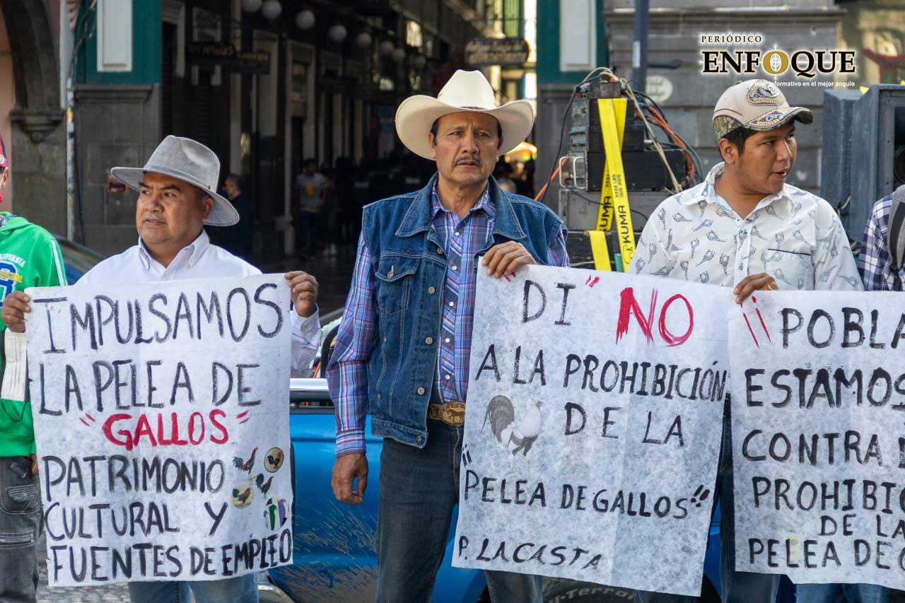 Por: Alex Muñoz Galleros se manifiestan ante propuesta que prohíbe el combate de aves