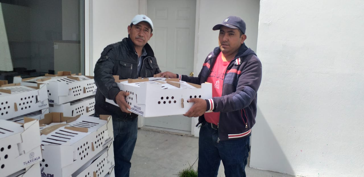Por: Cortesía Entrega SIA los primeros 660 paquetes de especies menores en 11 municipios