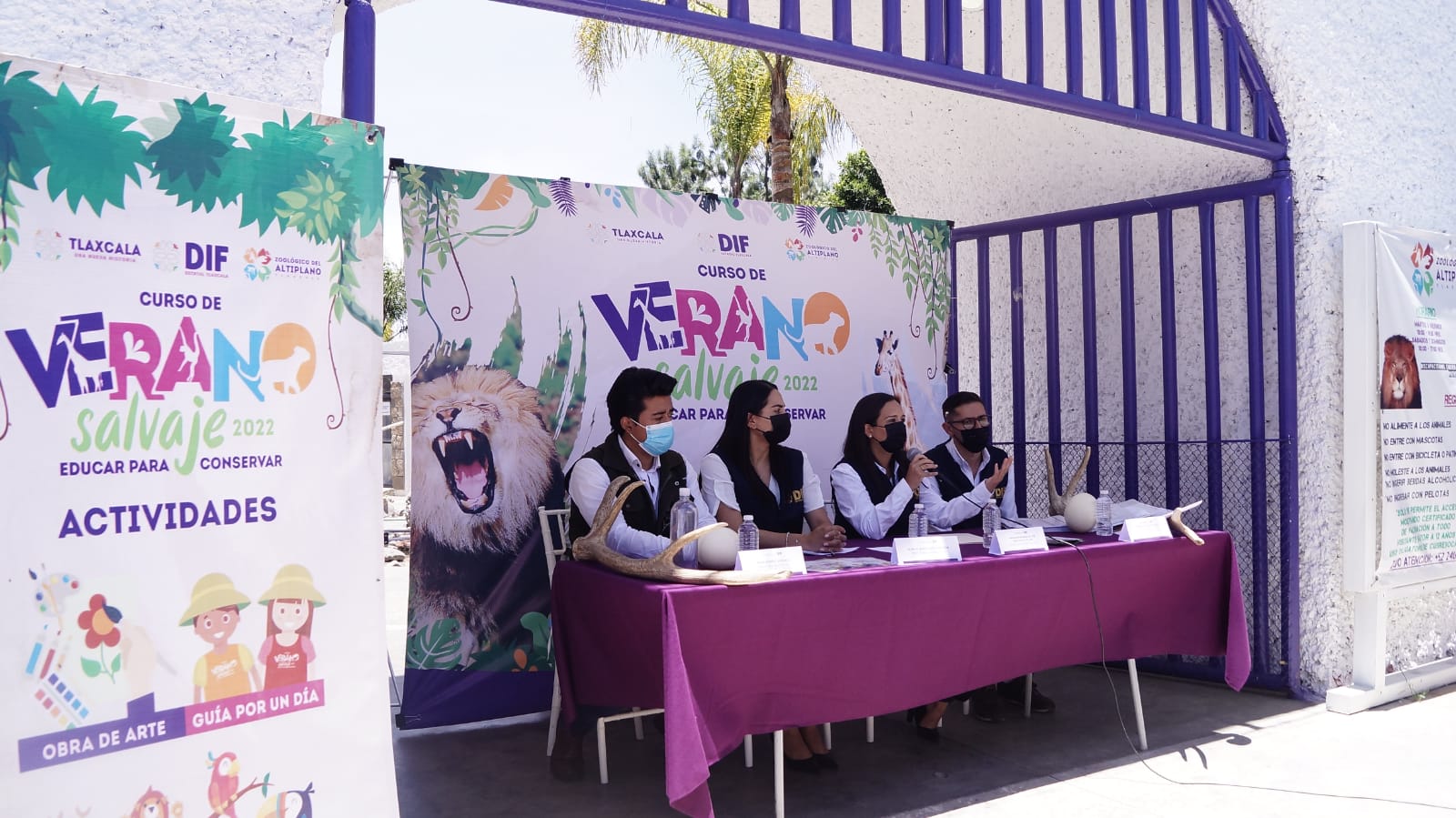 "Verano salvaje": curso para niños y niñas en el Zoológico del Altiplano