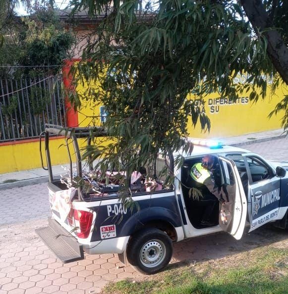Por: Cortesía Aseguran a hombre que robó cruces en panteón de San Sebastián Xolalpan