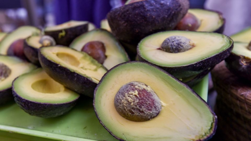 Jalisco exportará aguacate a EU por primera vez el próximo 28 de julio