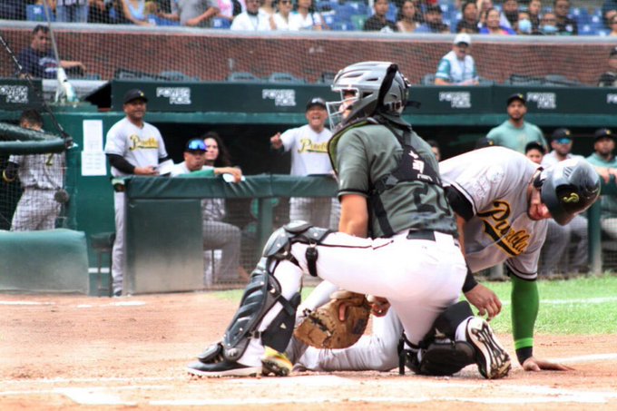 Por: Cortesía Pericos de Puebla, a recomponer el camino ante Piratas de Campeche