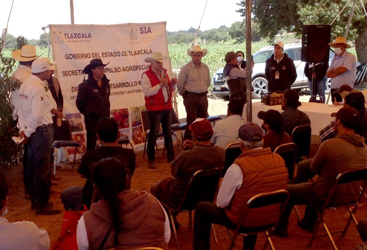Atiende SIA a 199 productores de durazno en 16 municipios de la entidad