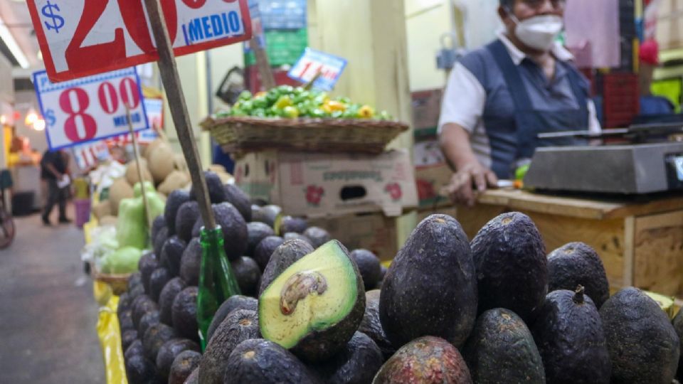 Por: Cortesía ¿Por qué pagas por el aguacate mucho más de lo que gana el productor? Aquí te decimos
