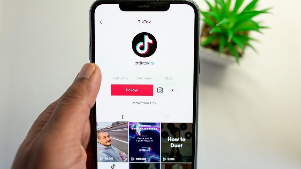 Por: Cortesía ¿Cómo tener muchos seguidores en TikTok?