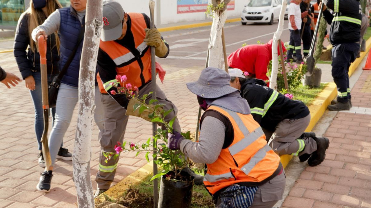 Por: Cortesía Ayuntamiento de San Andrés Cholula realizó una jornada masiva de reforestación