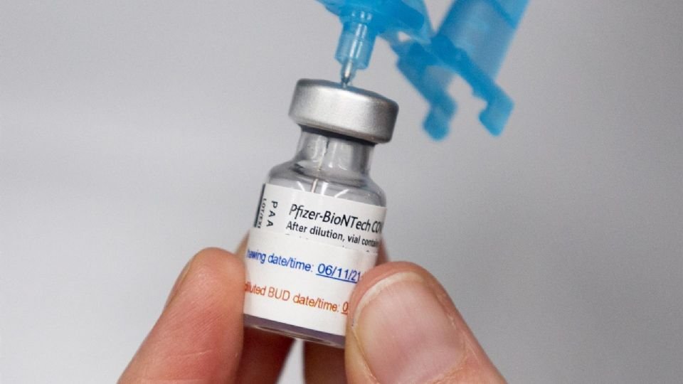 Por: Cortesía Estados Unidos avala vacuna  Pfizer y Moderna para niños menores de 5 años