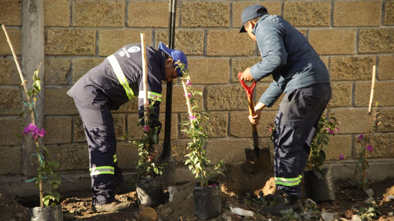 Ayuntamiento de San Andrés Cholula plantará 500 árboles en el marco del Día Mundial del Medio Ambiente
