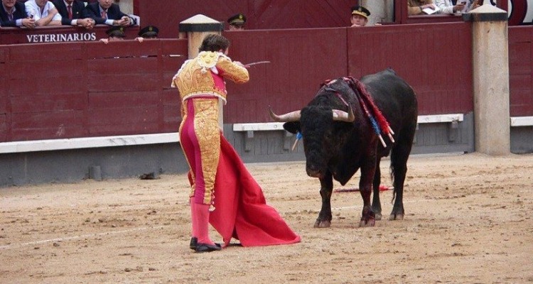Por: Cortesía Surge nuevamente la propuesta de prohibir las corridas de toros en Puebla