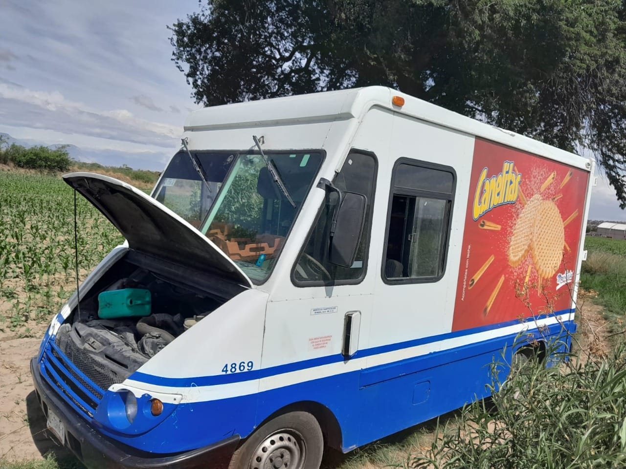 Asegura SSC 5 vehículos con acciones de prevención y combate a delitos