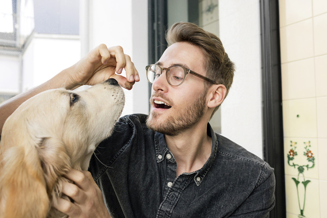 Por: Cortesía ¿Qué le pasaría a tu cuerpo si tuvieras que alimentarte de comida especial para perros?