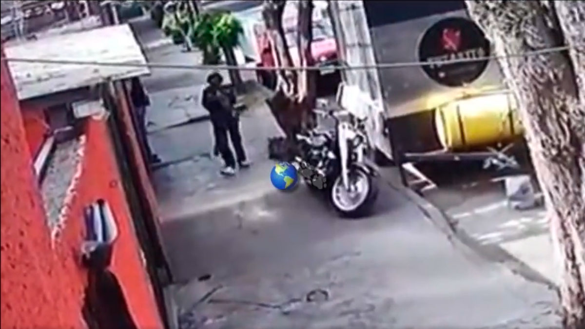 Por: Cortesía Fiscalía investiga a indigente que come mascotas; fue captado devorando a un gato