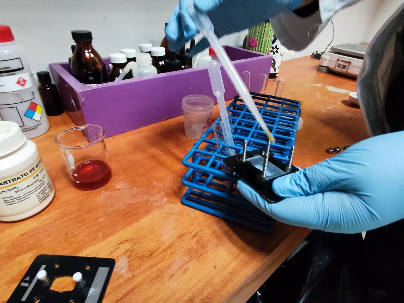 Por posesión de droga FGR obtiene prisión preventiva contra una persona en Tlaxcala