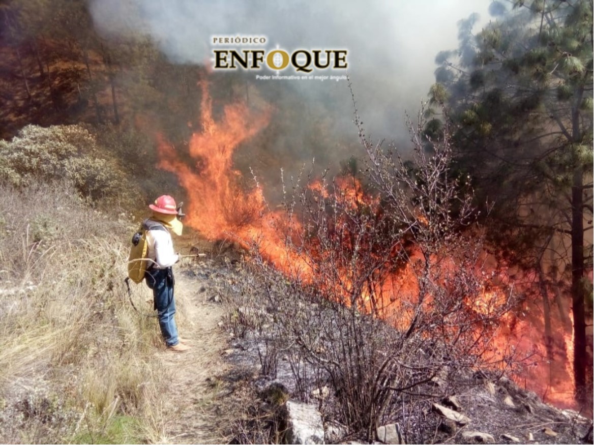 Por: Marisol Oropeza