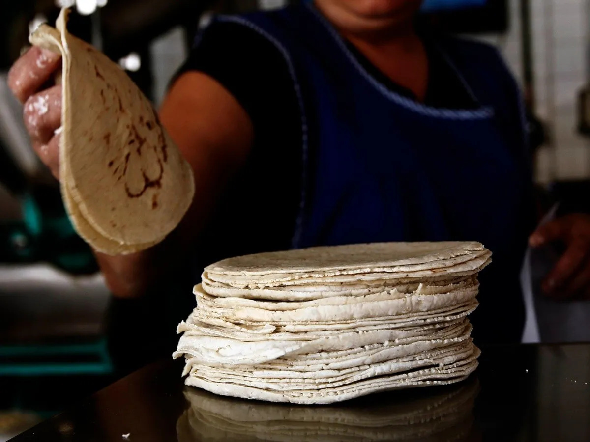 Por: Cortesía Aumento del precio en la tonelada de maíz podría reflejarse en unos días en el costo del kilo