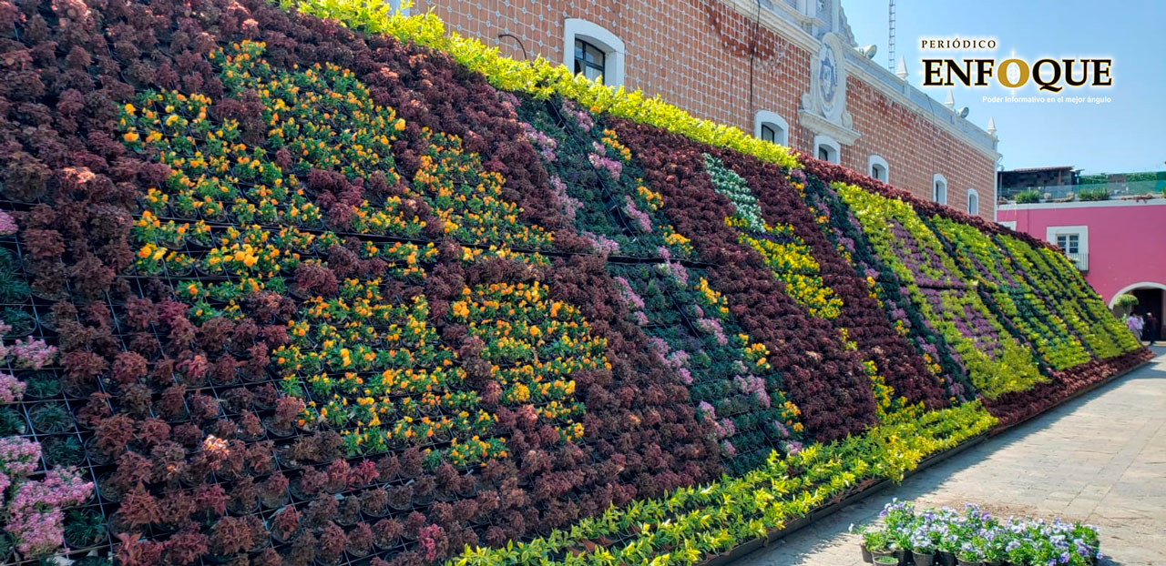 Por: Periódico Enfoque El Ayuntamiento de Atlixco instala tapete floral monumental incluyente