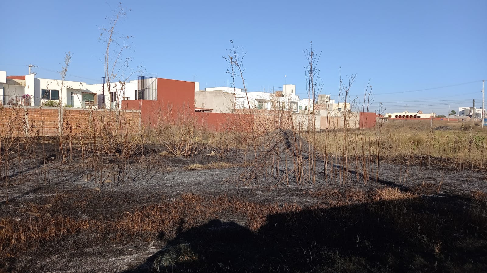 WhatsApp Image 2022 03 01 at 7.08.37 PM