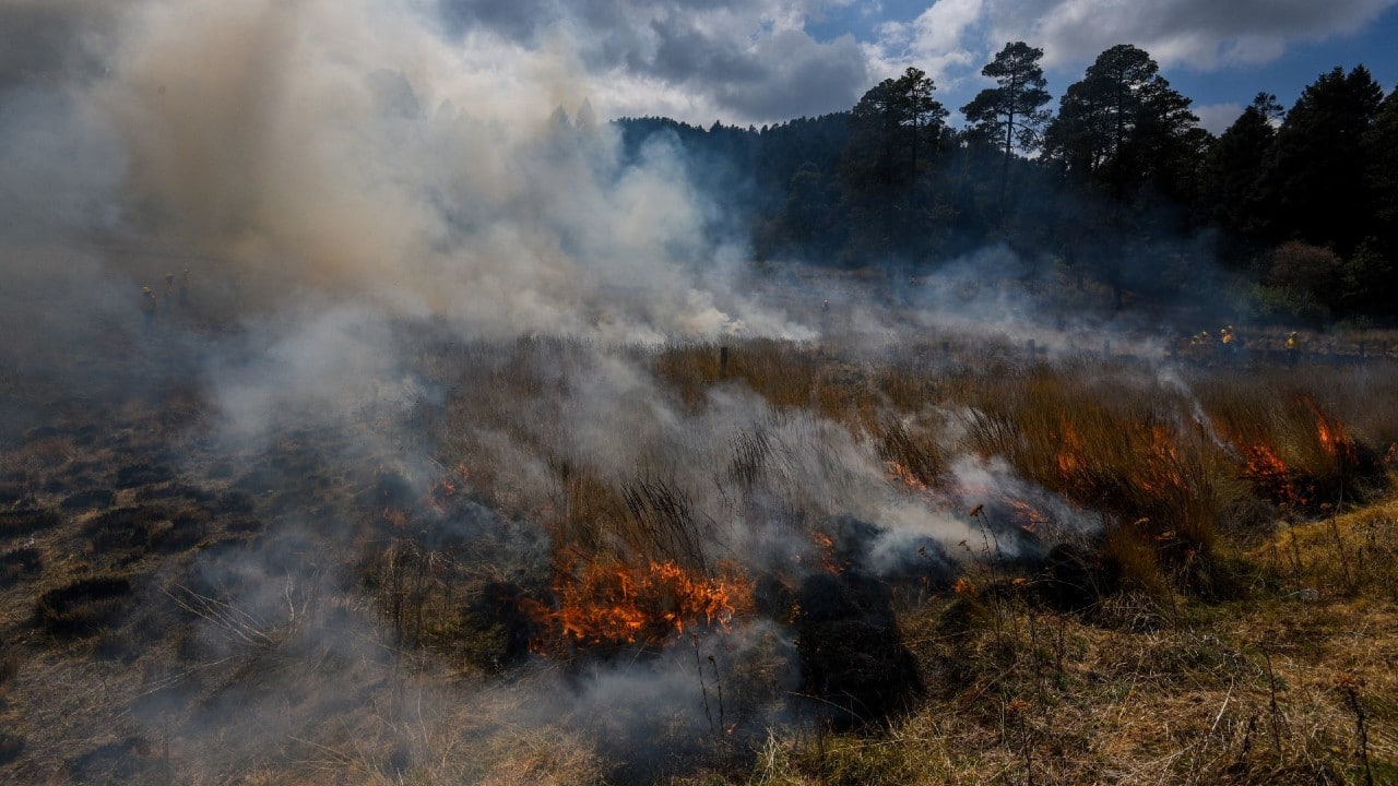Por: Cortesía México tiene 33 incendios forestales activos con 4 mil 278 hectáreas afectadas de bosques