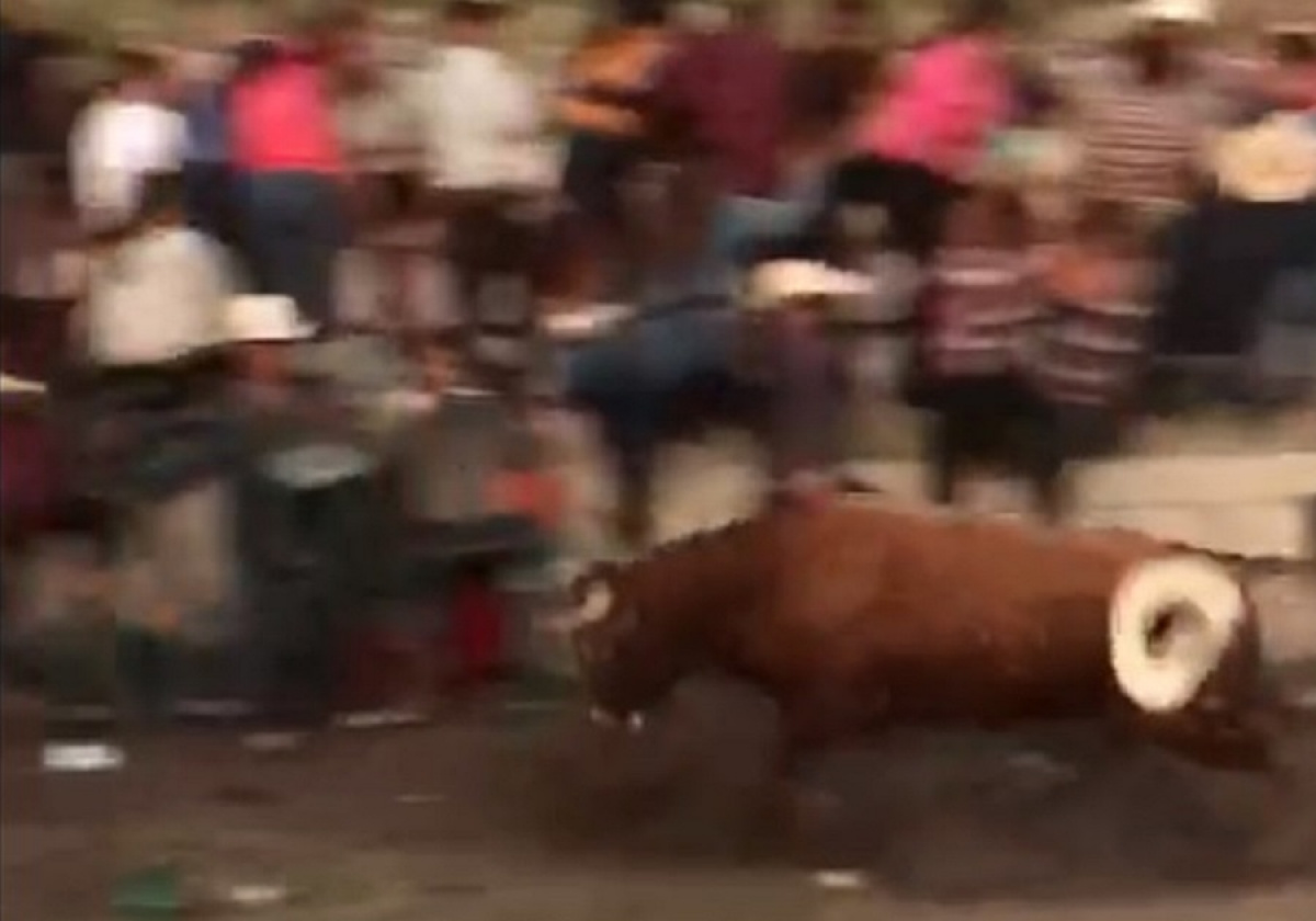 Por: Cortesía Toro se escapa del ruedo durante jaripeo y se proyecta sin control contra los asistentes en Puebla