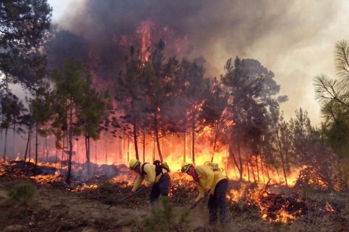 Por: Cortesía Incendio forestal en Veracruz consume al menos 80 hectáreas en Cofre de Perote