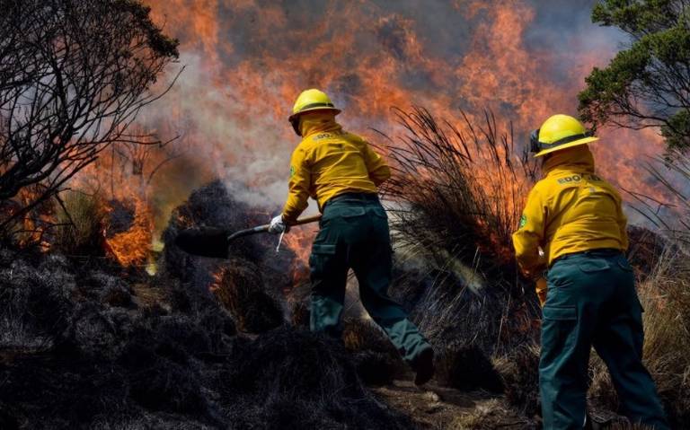 Por: Cortesía Puebla reporta 3 incendios forestales activos en 3 de sus municipios