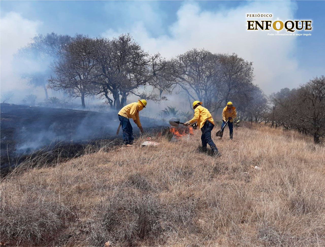 Por: Marisol O Secretaría del Medio Ambiente pide a la población evitar incendios forestales