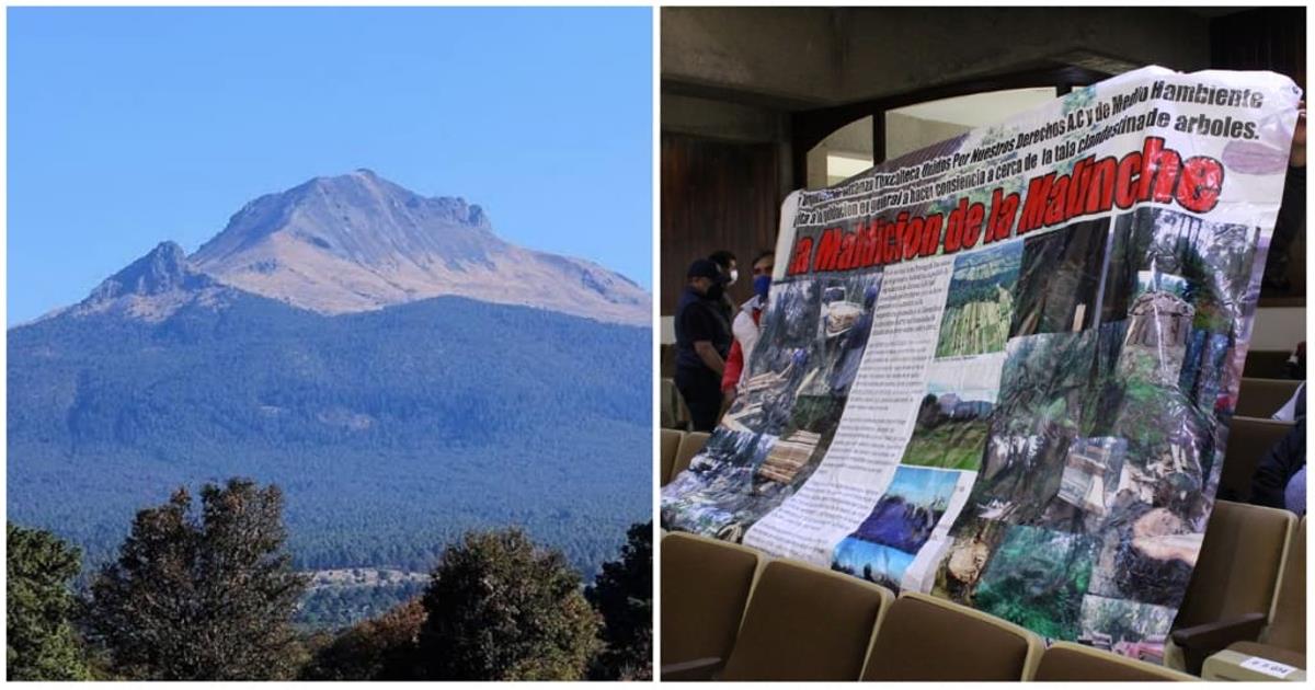 Por: Cortesía Exigen combate efectivo a la tala en la Malinche