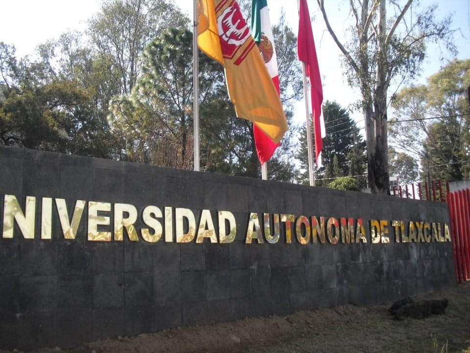 Magisterio y UATx se unen a paro nacional “Un día sin nosotras”