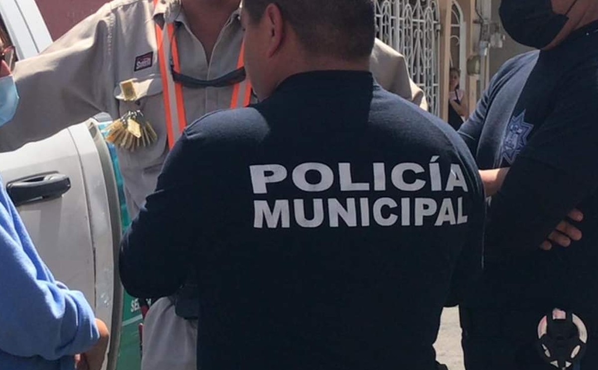 Acusan a trabajador de la CFE en Puebla de matar a perrito con un desarmador