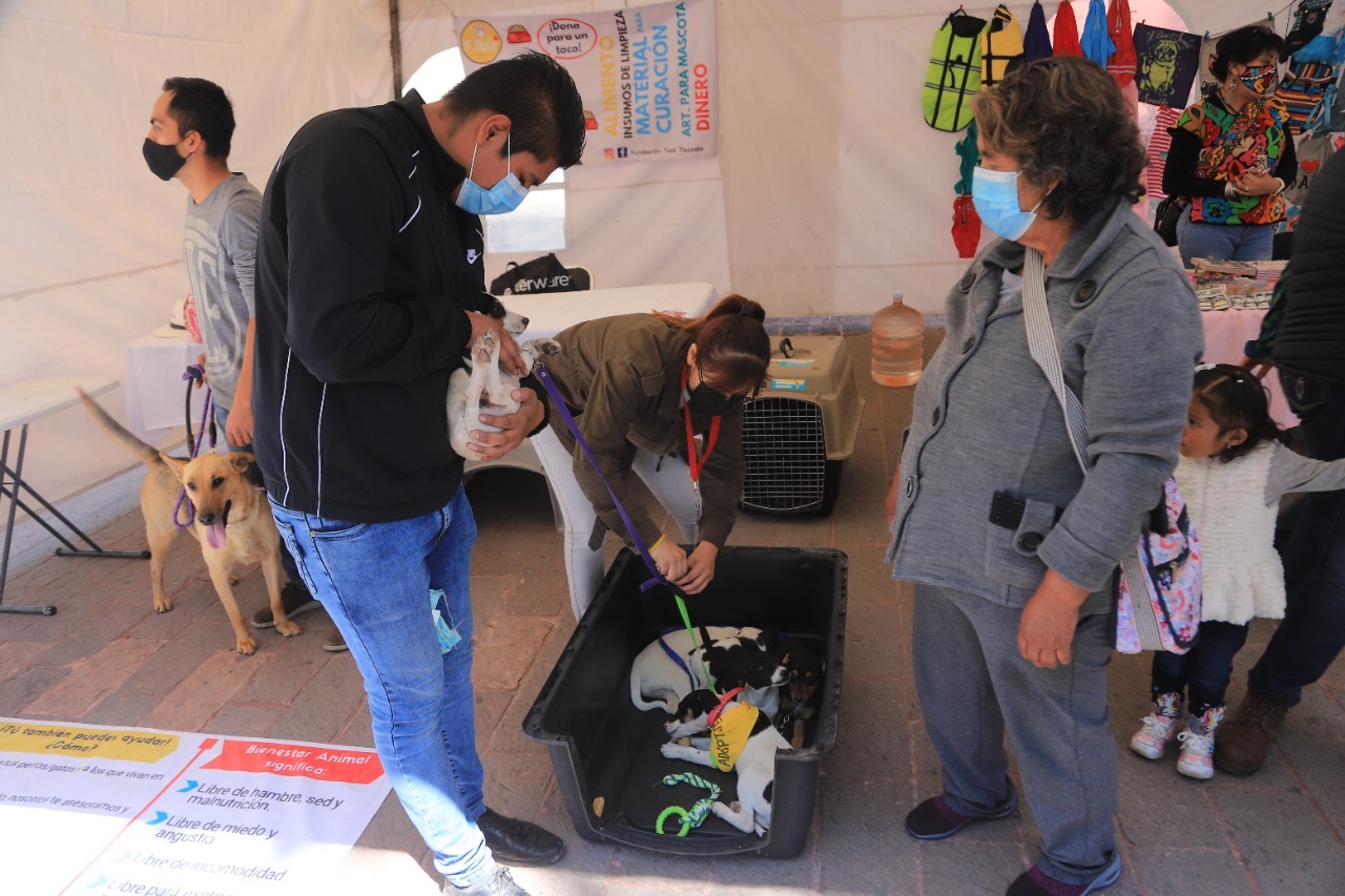 Por: Cortesía En el Día Internacional De La Familia la Secretaría de Bienestar Tlaxcala promovió el cuidado y respeto animal
