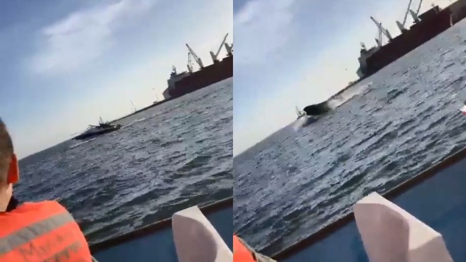Por: Cortesía Durante espectáculo de avistamiento, ballena cae sobre yate con turistas en Sinaloa