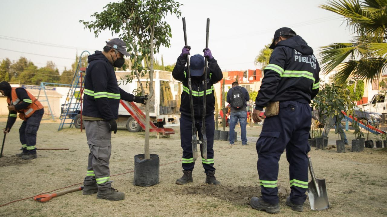 Por: Cortesía Ayuntamiento de San Andrés Cholula plantó 100 árboles en la colonia Emiliano Zapata