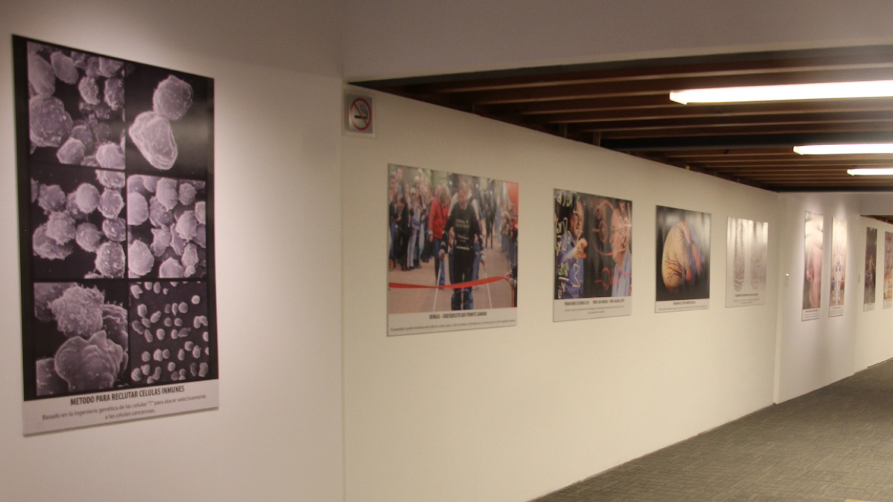 Por: Cortesía Museo Regional de Cholula acoge la exposición fotográfica “Innovaciones y Descubrimientos de Israel para el Mundo”