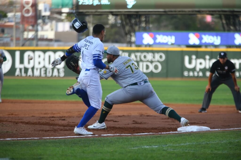 Por: Cortesía Desplumaron a Pericos en Durango