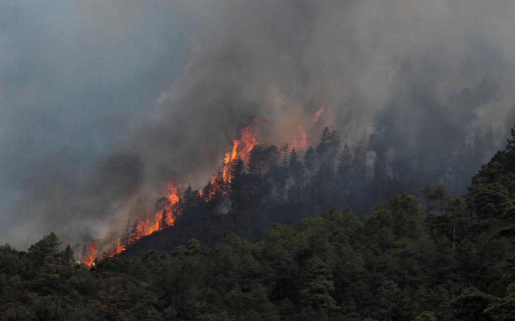 Por: Cortesía Ya son 81 los incendios forestales activos en México