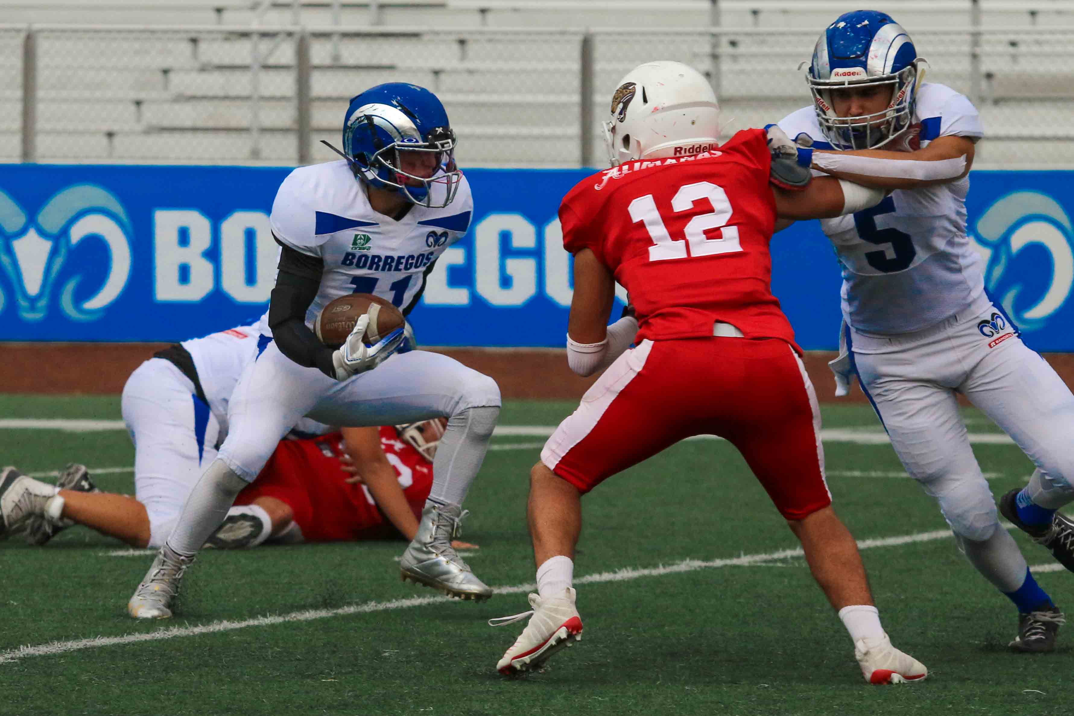 Por: Cortesía Borregos Puebla sigue imparables en la Onefa