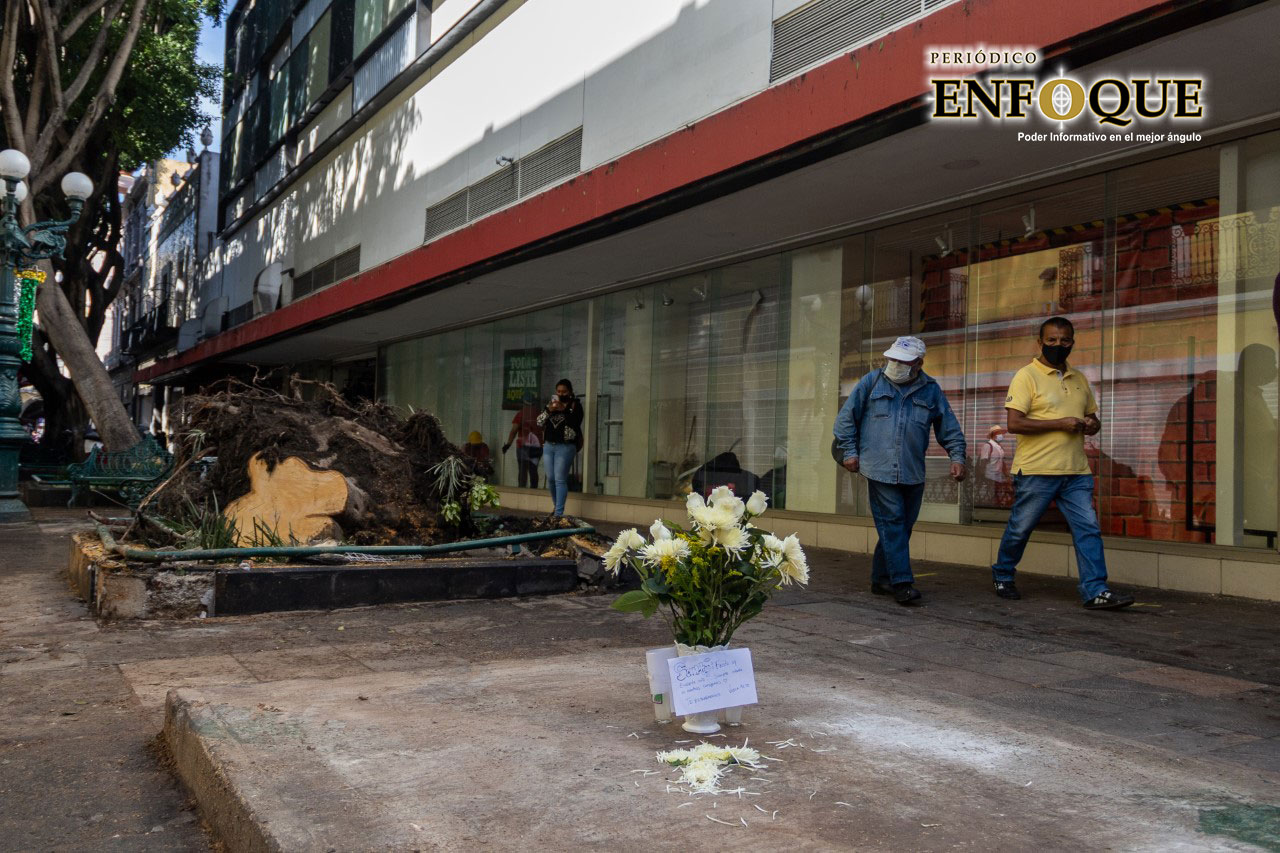 Por: Periódico Enfoque Ayuntamiento mantiene diálogo con papás de Santy
