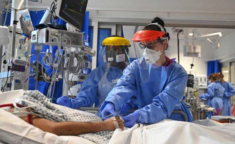 Por: Cortesía ¿Por qué se llama "perro del infierno" la nueva variante de covid?