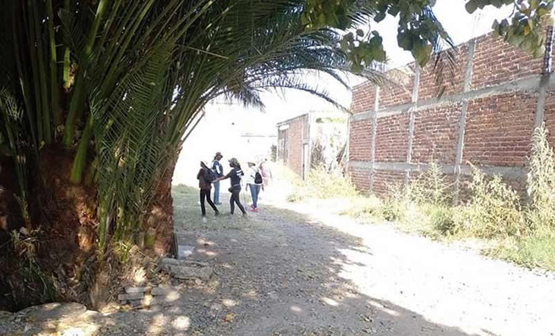 Por: Cortesía Perro con restos humanos en el hocico conduce al hallazgo de mega fosa clandestina en Irapuato