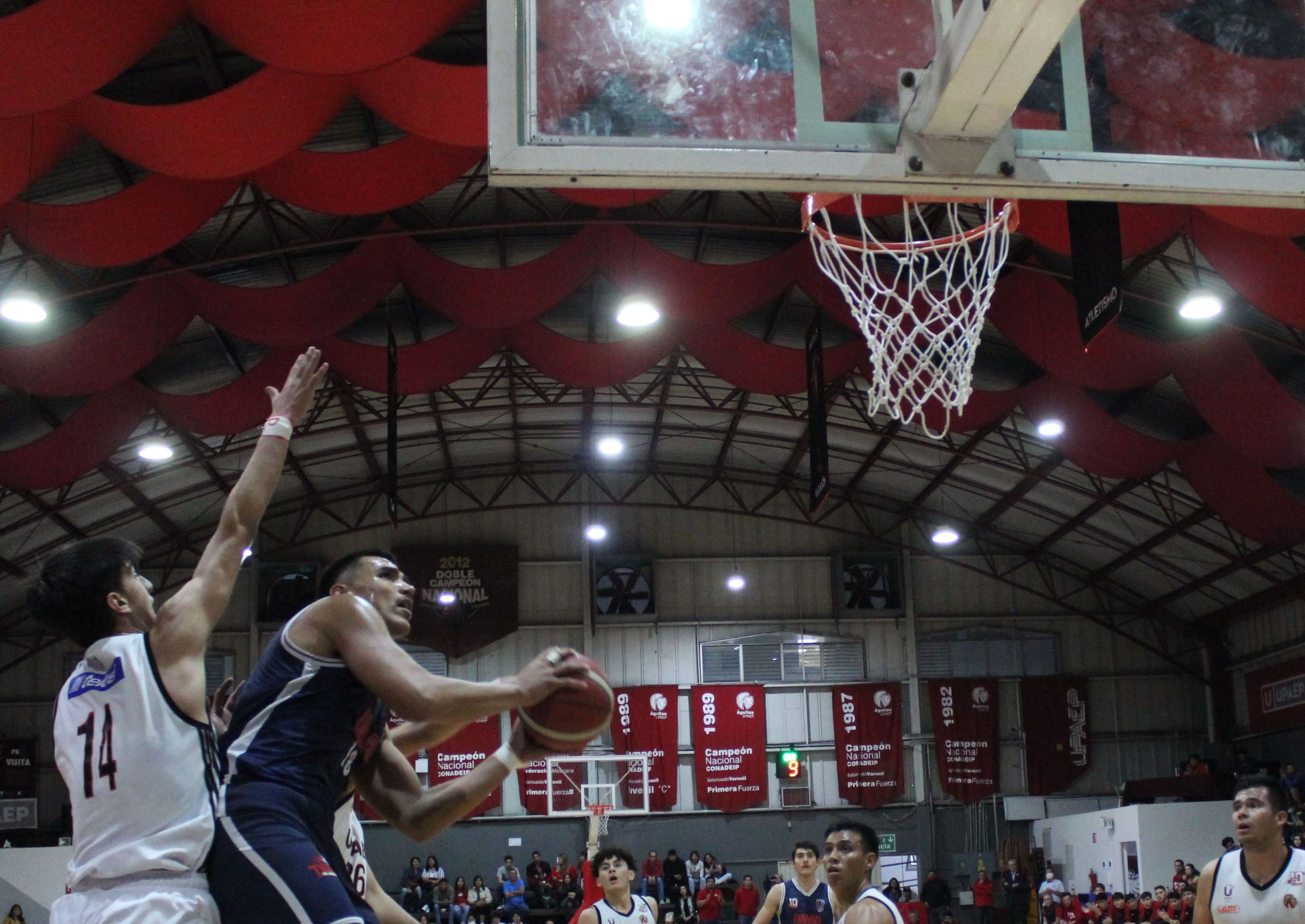 Por: Cortesía Tigres UMAD sigue mandando en la Liga ABE