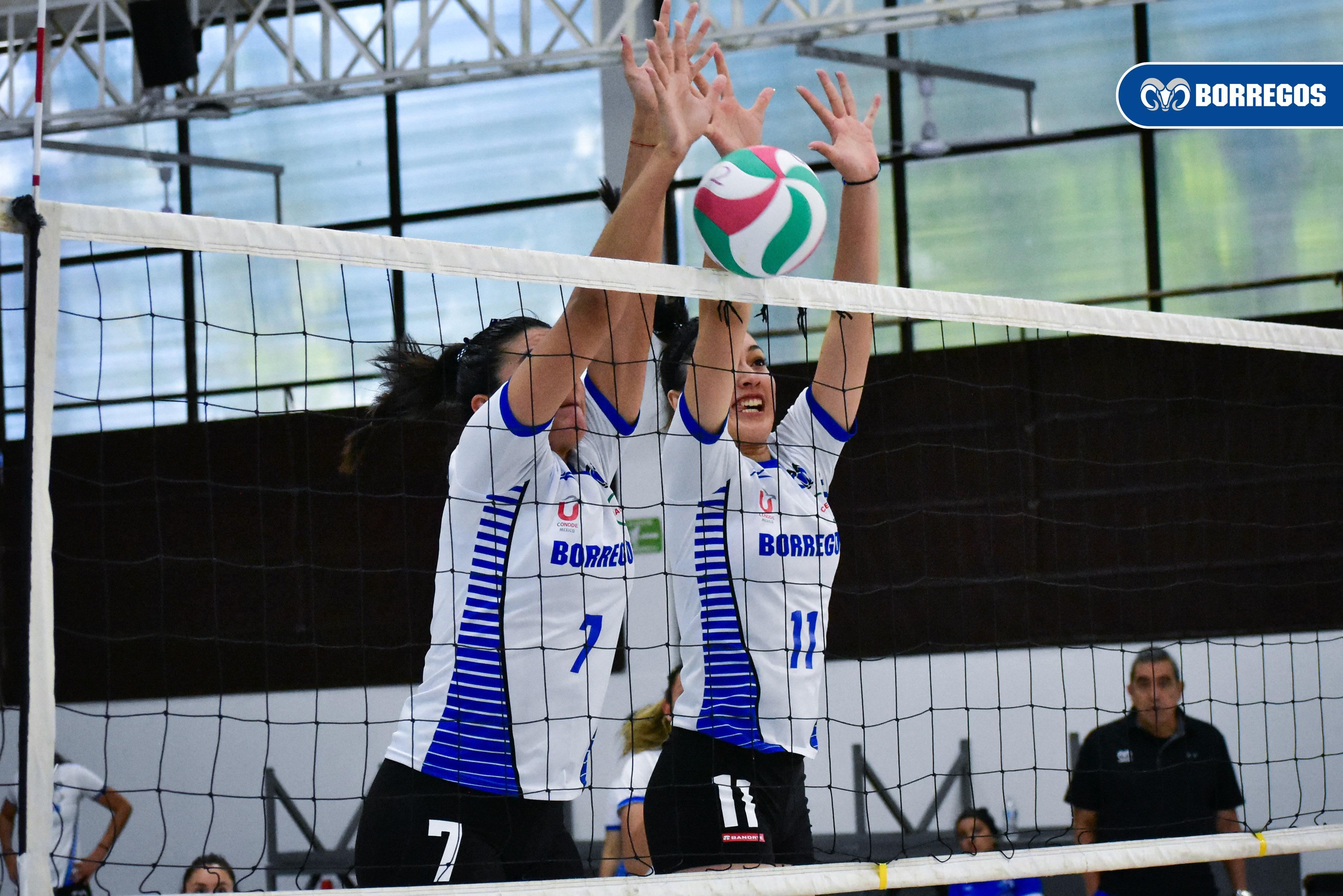 Por: Cortesía Borregos Puebla buscar brillar en voleibol