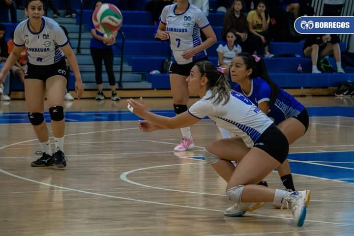 Por: Cortesía Borregos Puebla tuvo buena jornada de voleibol