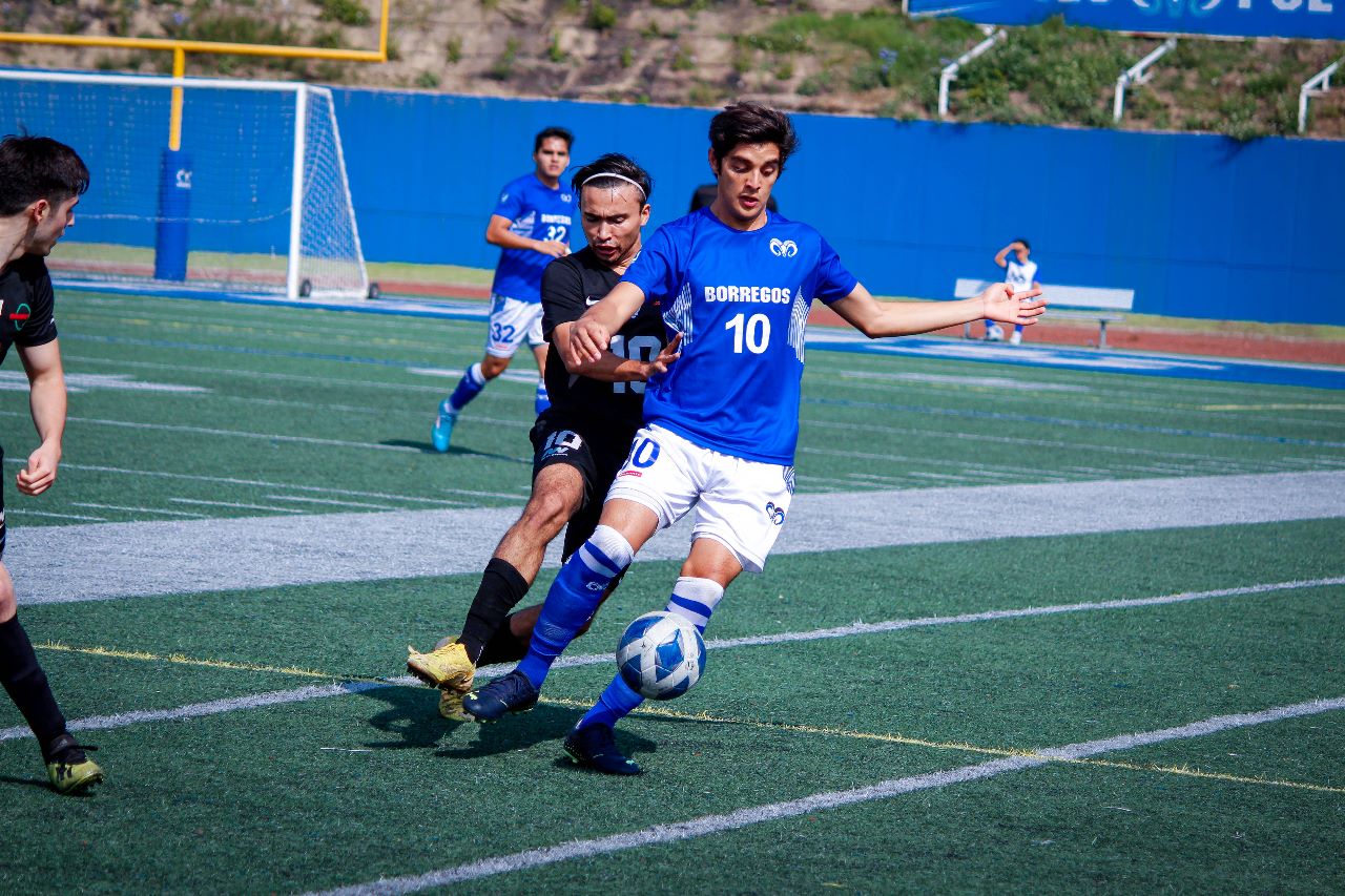 Por: Cortesía Paul Moreno tiene volando a Borregos Puebla