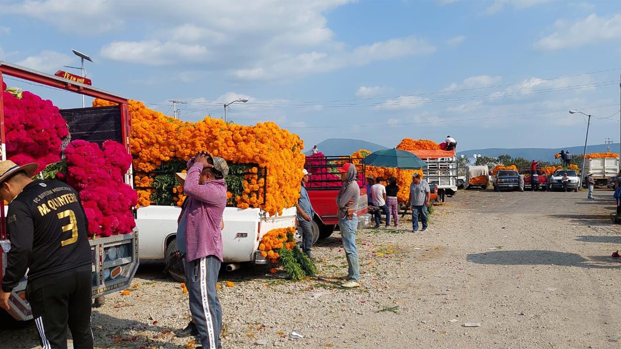 Por: Cortesía Atlixco registró más de 124 mdp en derrama económica por la venta de flor de temporada de Día de Muertos