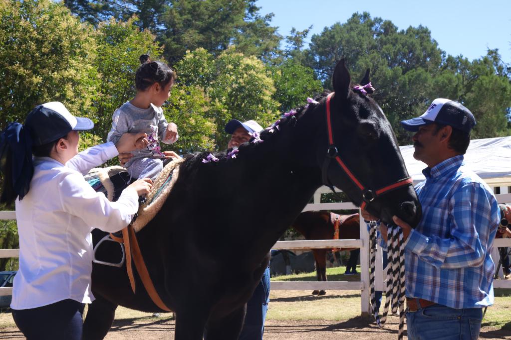 Inaugura gobernadora servicio de equinoterapia en el  Sistema Estatal DIF