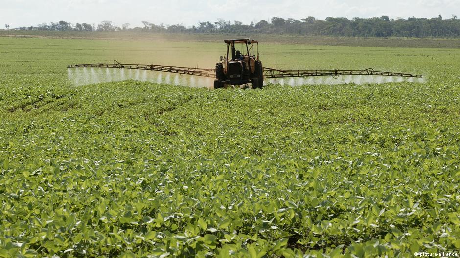 Por: Cortesía ONU denuncia abuso de pesticidas en Paraguay
